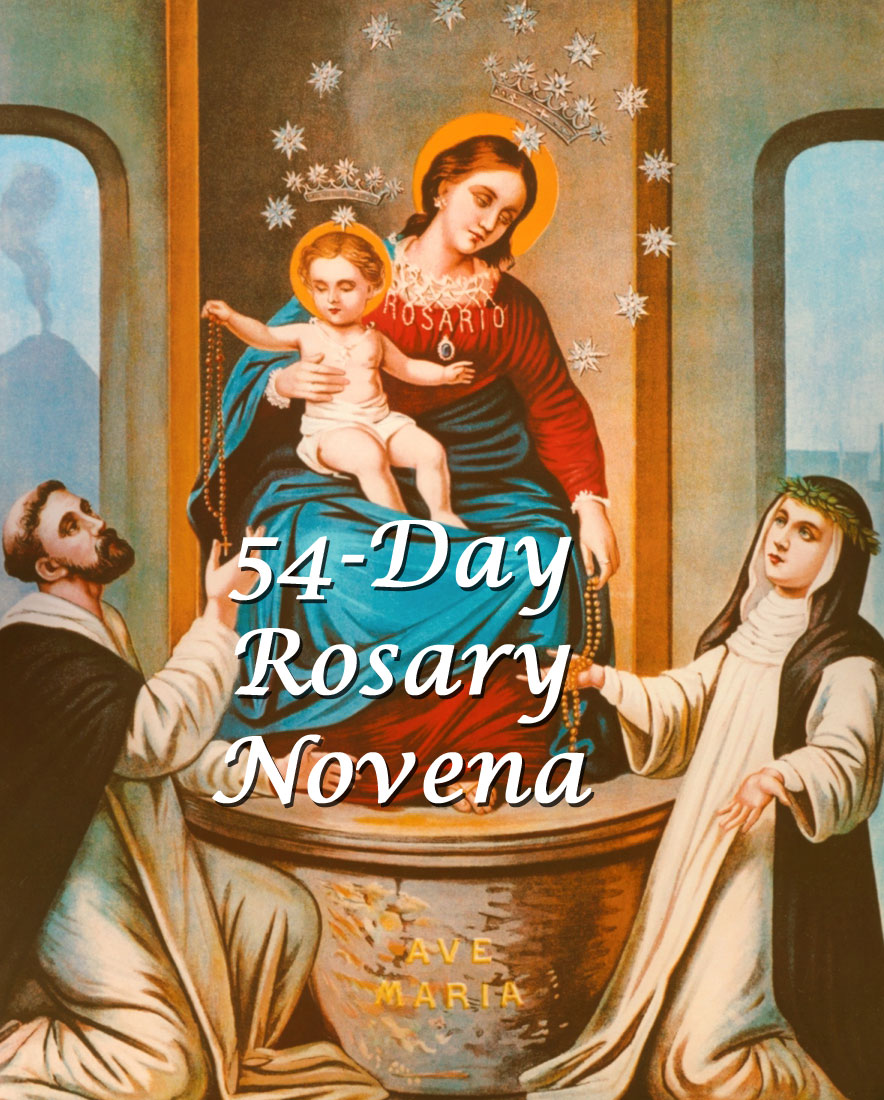 54 Day Rosary Novena Calendar - Clare Desirae